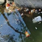 सप्तधारा कुंड में मृत पड़ी मछलियां और गंदा पानी