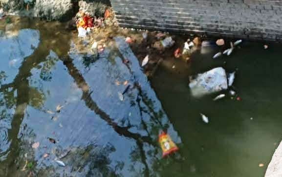 सप्तधारा कुंड में मृत पड़ी मछलियां और गंदा पानी