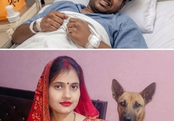 IMG-20260429-WA0013(1)