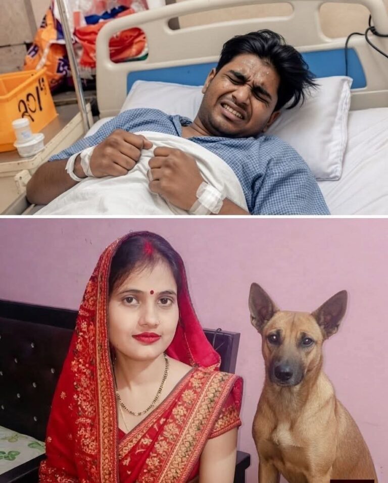 IMG-20260429-WA0013(1)