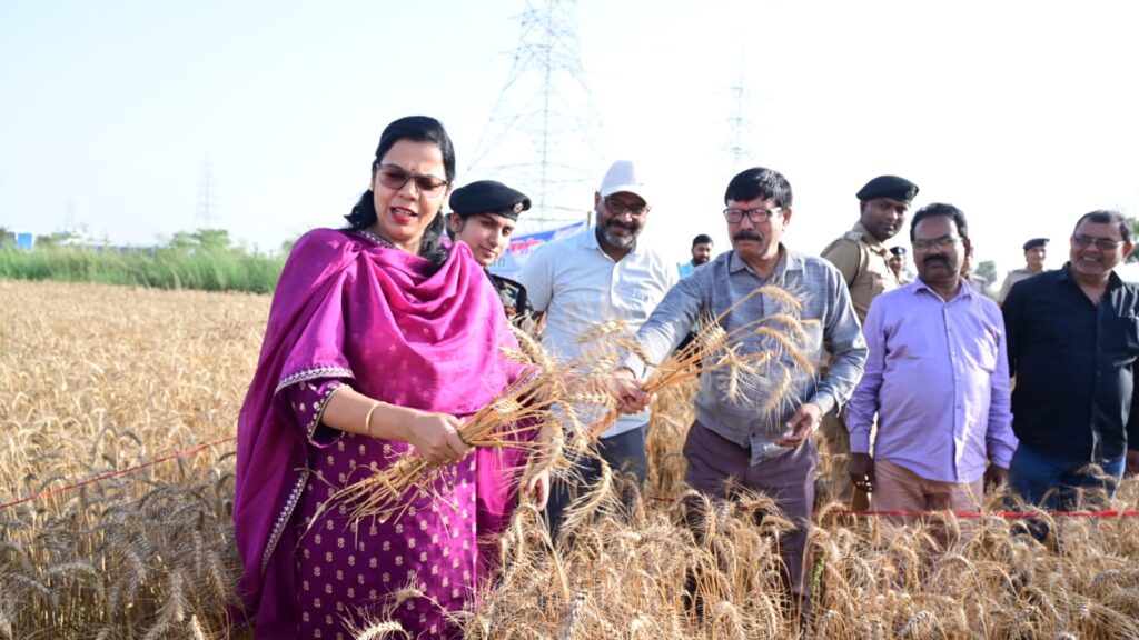 WhatsApp Image 2026 04 11 at 8.38.51 PM