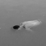 IMG-20260630-WA0006